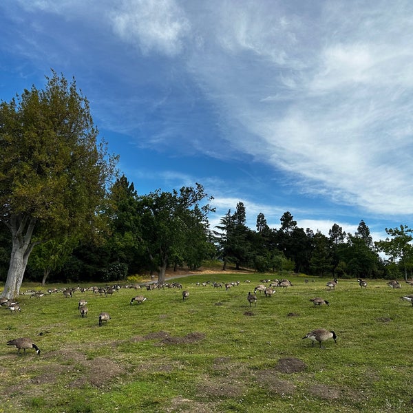 Photos at Vasona Lake County Park 333 Blossom Hill Rd