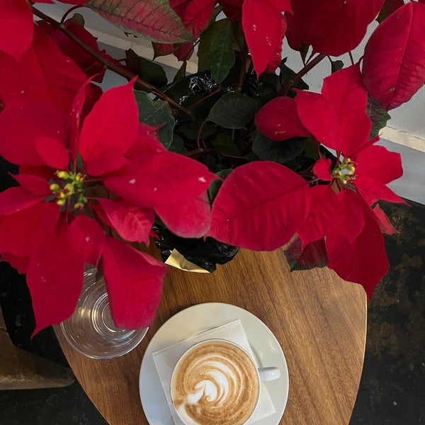 The Orange Couch Coffee Shop in New Orleans