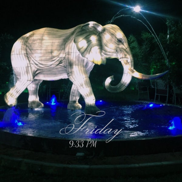 Photos At منتجع الجزيرة الخضراء Resort