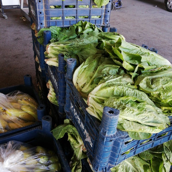 Malatya Yas Sebze Ve Meyve Hali Malatya Yas Sebze Ve Meyve Hali