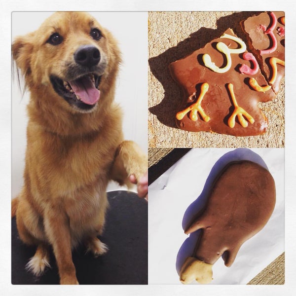 Photos At Four Paws Pantry Spa Pet Service In Olathe