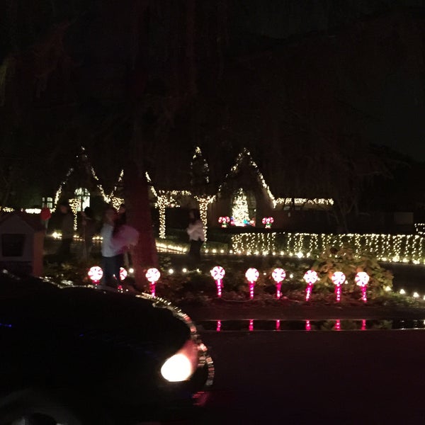 Christmas Tree Lane Scenic Lookout