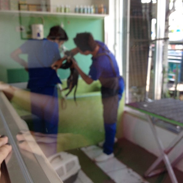assumpta dog and cat clinic