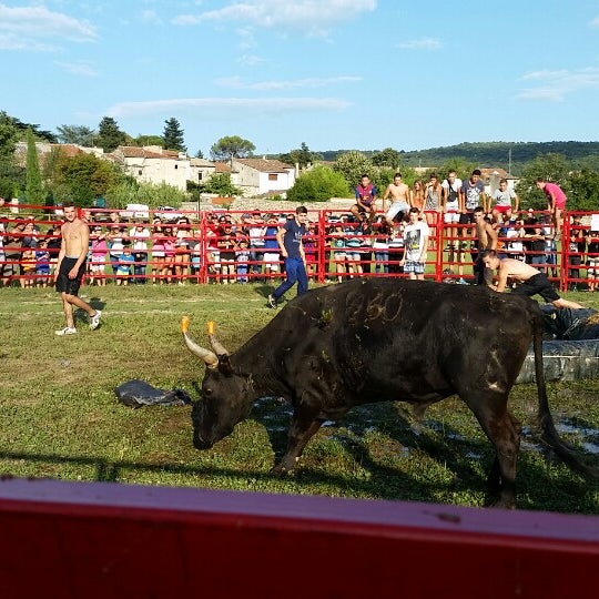 Photos At Saint Bauzille De Putois Saint Bauzille De Putois Occitanie