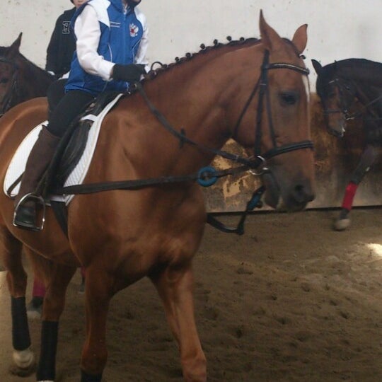 Спортивная школа по конному спорту