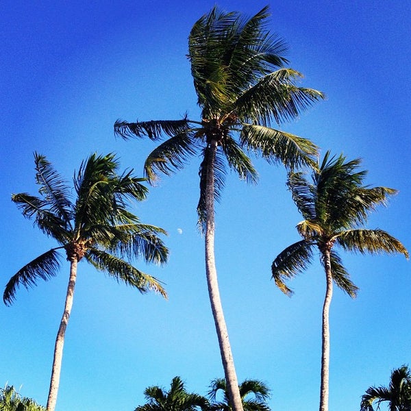 Photos at Downtown Key Largo Downtown Key Largo 4 tips