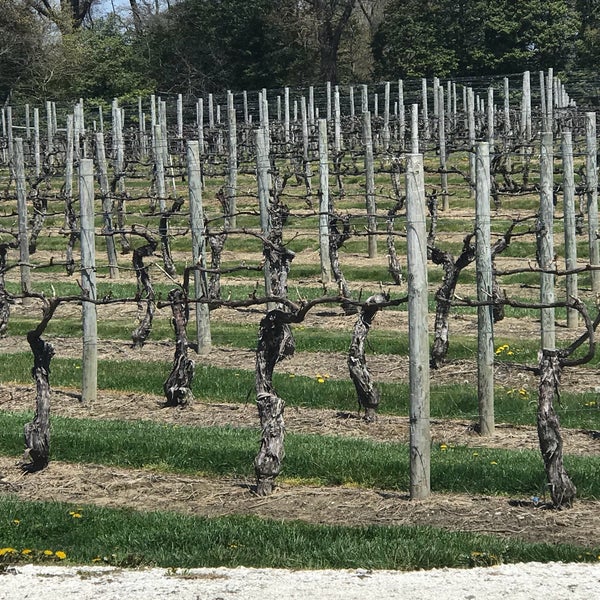 Photo taken at Cape May Winery &amp; Vineyard by Anita M. on 4/28/2018