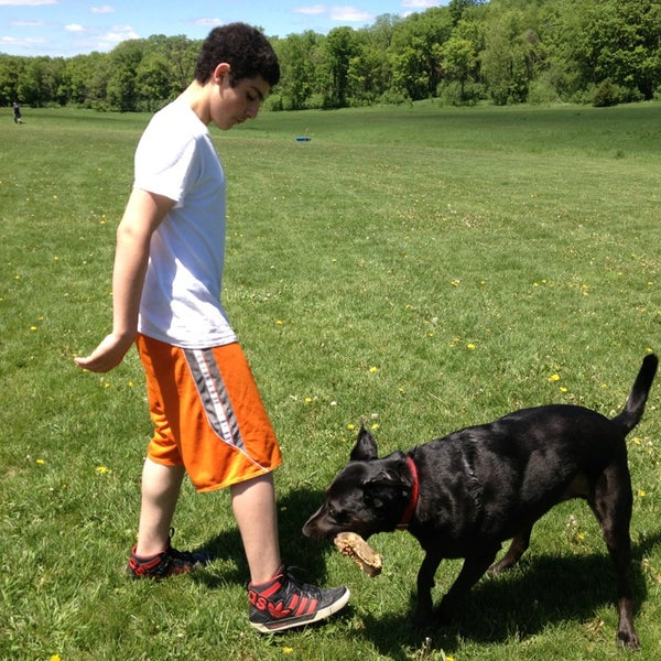 Andy's Bark Park 11664 Dale Rd