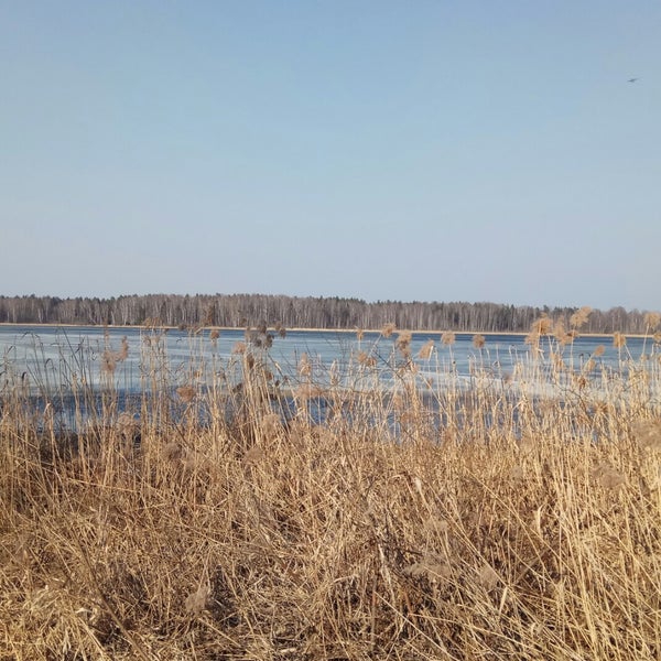 Пяловское водохранилище Пяловское водохранилище