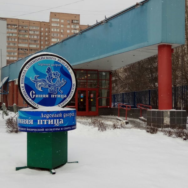 Синяя Птица Магазин Тюмень Сайт
