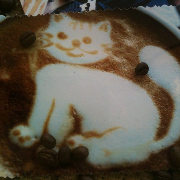 Сны любимого кота калуга