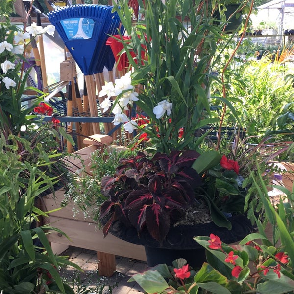 Mahoney's Garden Center Garden Center in Chelmsford