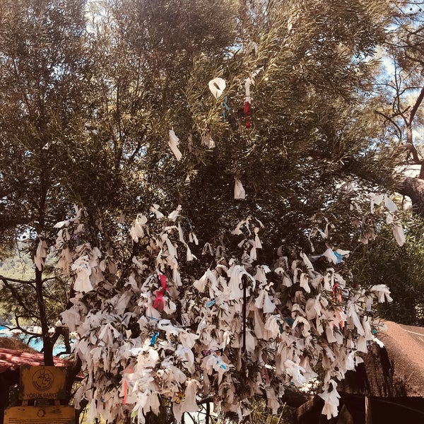 Foto diambil di Yörük Parkı oleh Berfin Y. pada 7/13/2019