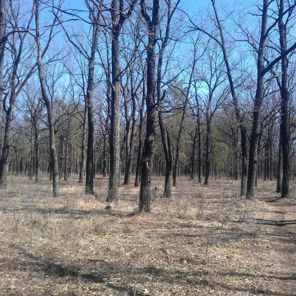 Парк ушакова ульяновск