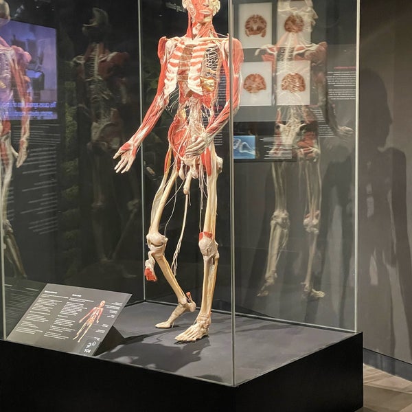 Photo taken at Body Worlds by Meshal on 7/21/2022
