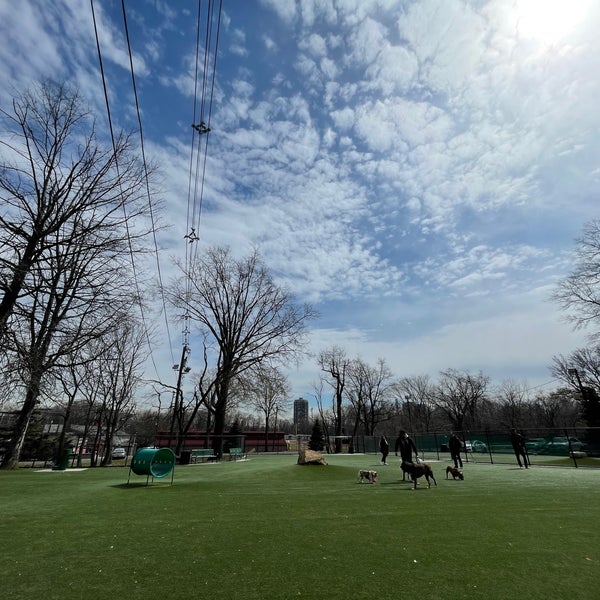 James J Braddock North Hudson County Park Dog Run North Bergen, NJ