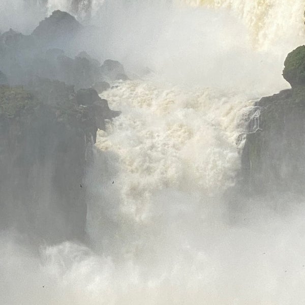 Das Foto wurde bei Parque Nacional Iguazú von Damian am 9/10/2022 aufgenommen