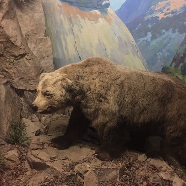 Das Foto wurde bei Santa Barbara Museum Of Natural History von Poshbrood am 3/13/2016 aufgenommen