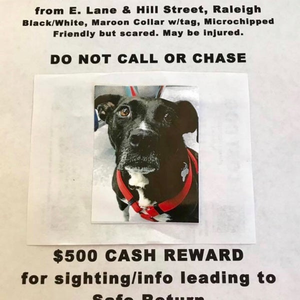 Neuse River Greenway Trail Poole Rd Hiking Trail