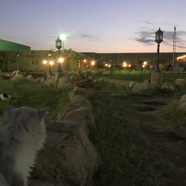 Photos At مزرعة الامير سلطان بن عبدالعزيز Farm