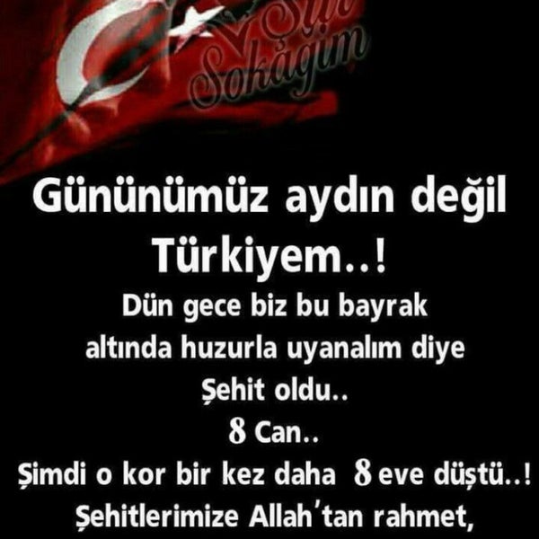 Photos At Tascioglu Sarraf Aydin Aydin