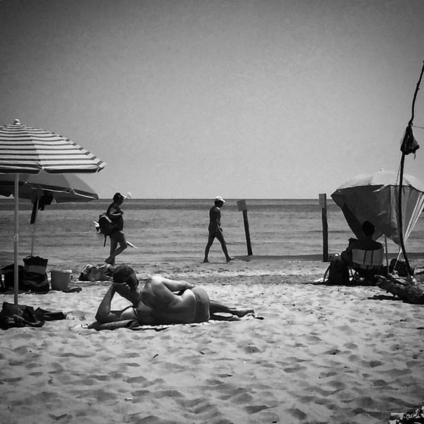 Photos At Spiaggia Libera Per Cani Di Lido Di Dante 4 Tips
