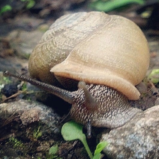 Photo prise au Cincinnati Nature Center (Rowe Woods) par Betsy P. le6/29/2013