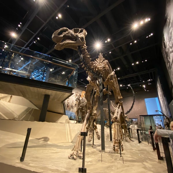 Das Foto wurde bei Natural History Museum of Utah von Sherra Victoria B. am 2/27/2020 aufgenommen