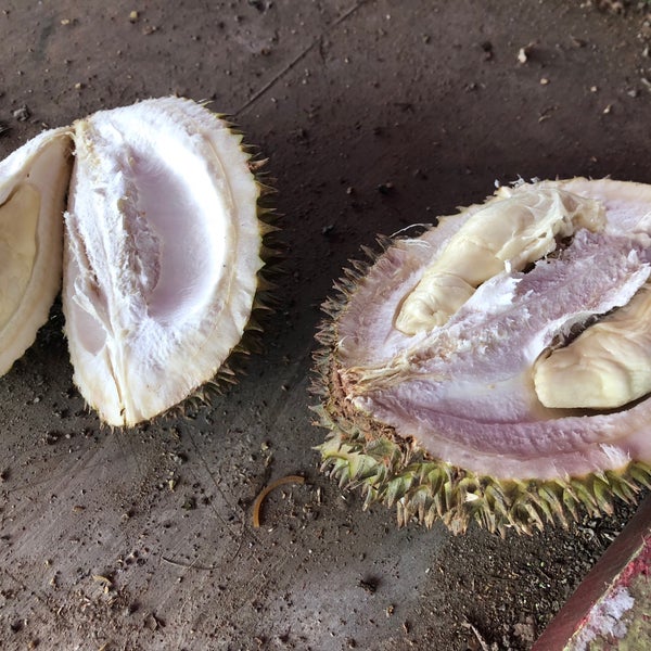 Durian Kopo Bandung