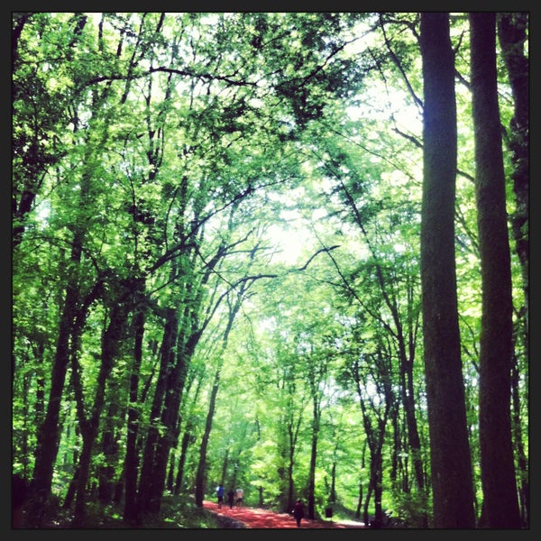 Photo taken at Belgrad Forest by Pinar A. on 5/5/2013