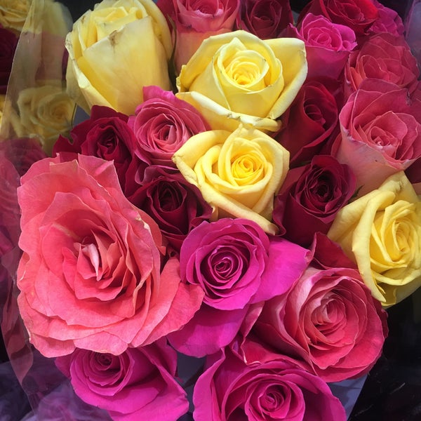 Costco Optical 3405 W Central Ave