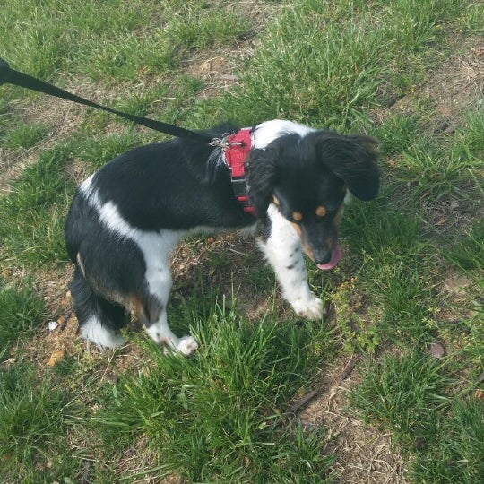 Gardens At Woodfield Hiking Trail in Nixa