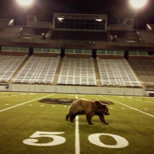 Griz Stadium Seating Chart