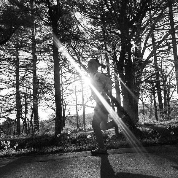 Photos At 立科白樺高原ユースホステル 14 Visitors