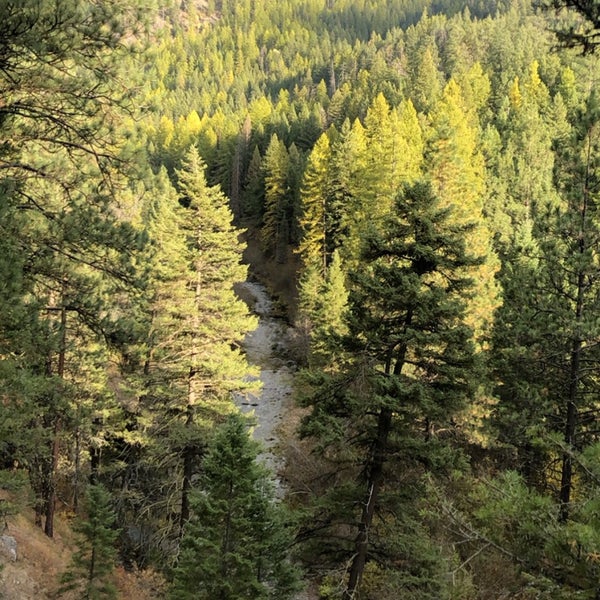 Rattlesnake National Recreation Area Sawmill Gulch Rd