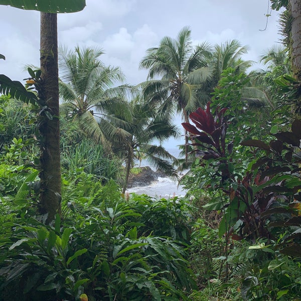 Foto scattata a Hawaii Tropical Botanical Garden da Shelley R. il 5/1/2022