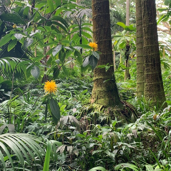 Foto tomada en Hawaii Tropical Botanical Garden  por Shelley R. el 5/1/2022