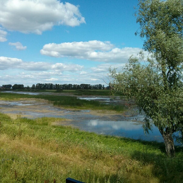 Березовая грива нижнекамск карта