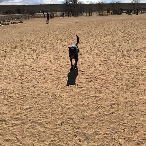 Kennedy Dog Park Dog Park in Kennedy