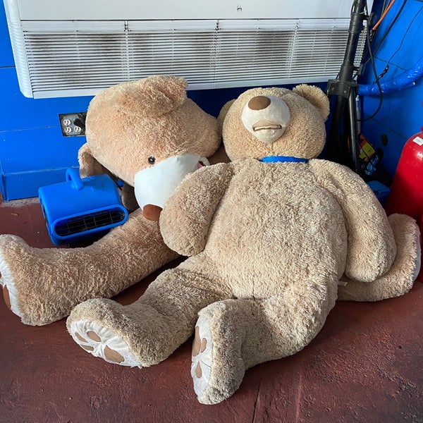 The Dog House Pub St. Thomas, VI