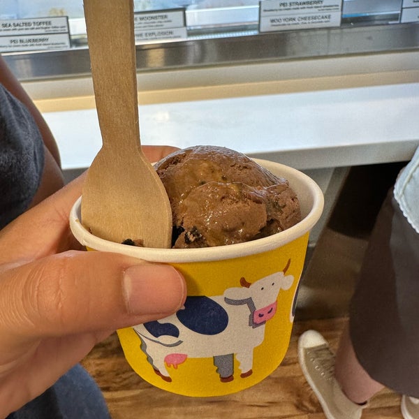 COWS Banff バンフ、AB