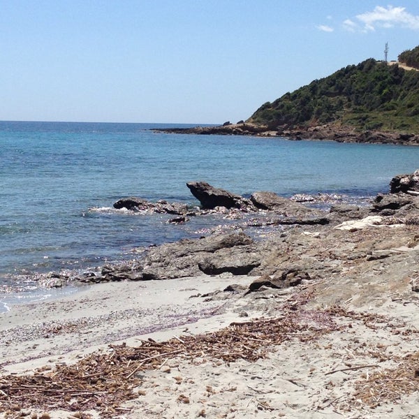 Шампанское Новый Свет Paradisio Купить