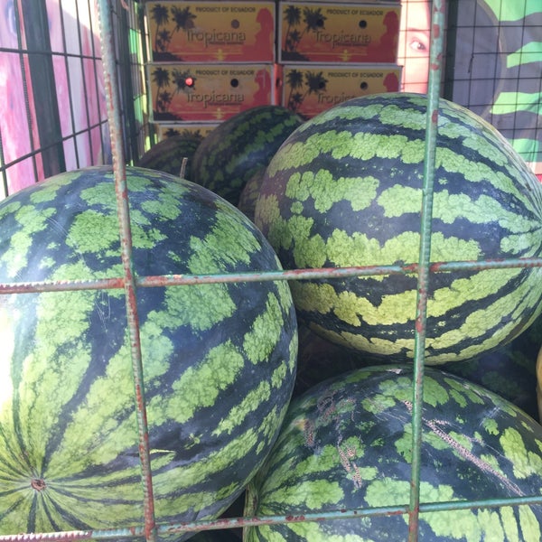 ягоды арбуза каристан. Au producer watermelon. московские арбузы. арбуз стоит. иранские сорта арбуза.