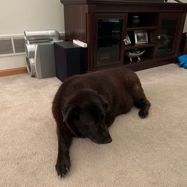 Champlin Community Center Champlin, MN