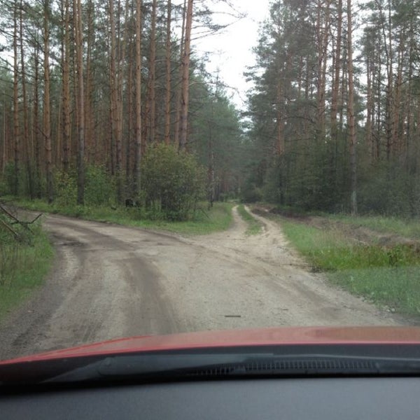 Частая дубрава липецк. Автобус красная дубрава. Расписание частая дубрава липецк. Красная дубрава копыльский район. Романовская дорога дубрава 2.