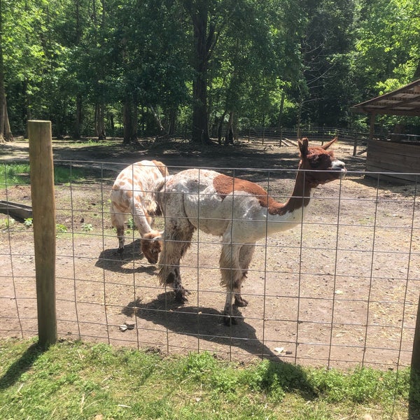 Foto scattata a North Georgia Zoo &amp; Farm/ Wildlife Wonders- Zoo To You da Kaley I. il 5/3/2020