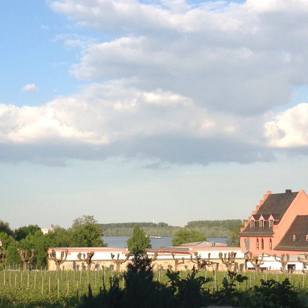 Weinstube Gelbes Haus 4 Tipps Von 83 Besucher