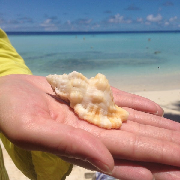 Маафуши White Shell Island