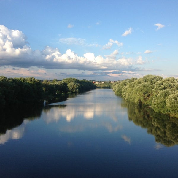 Лужковский лес Орел