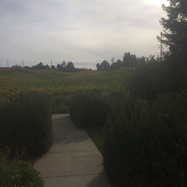 Photo taken at Lynmar Estate Winery by Shari T. on 10/24/2015
